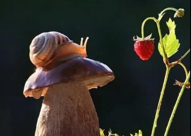 【扩散】最强降雨来袭！好多人都遭了？(图7)