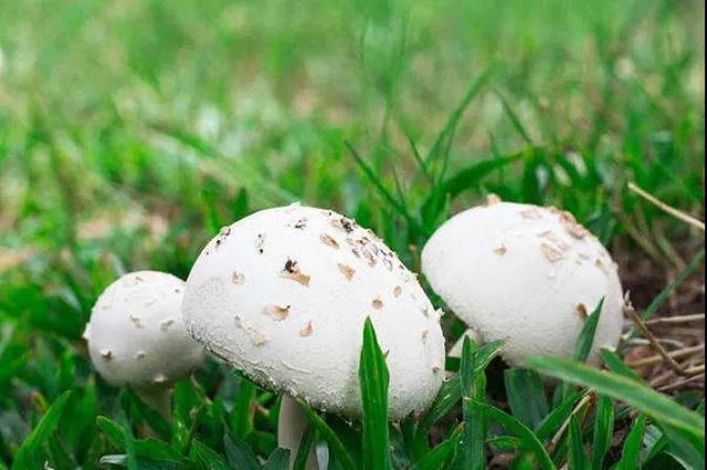 【扩散】最强降雨来袭！好多人都遭了？(图8)