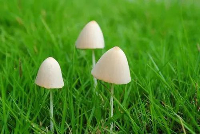 【扩散】最强降雨来袭！好多人都遭了？(图9)