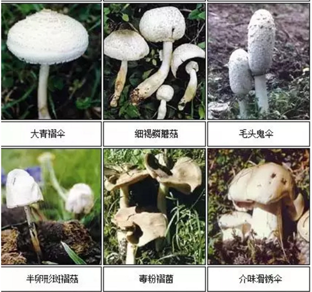 【扩散】最强降雨来袭！好多人都遭了？(图14)