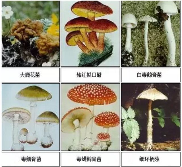 【扩散】最强降雨来袭！好多人都遭了？(图13)
