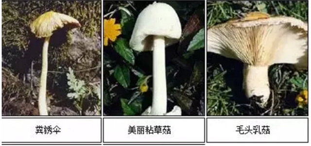 【扩散】最强降雨来袭！好多人都遭了？(图15)