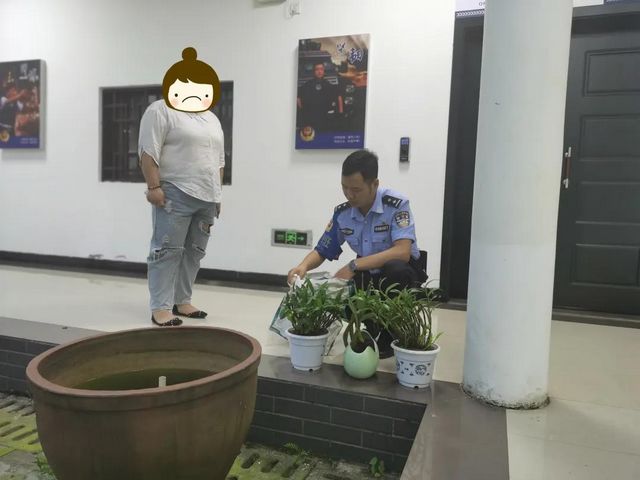 合江尧坝：民警一条微信，破解金钗石斛丢失谜团！(图4)