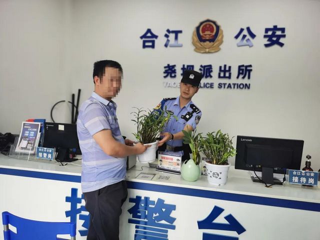 合江尧坝：民警一条微信，破解金钗石斛丢失谜团！(图5)