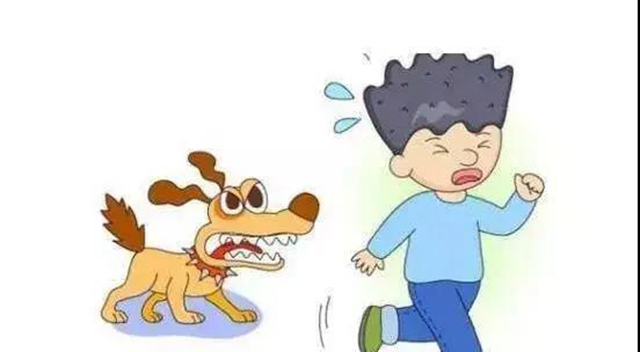 【关注】泸州大姐被狗咬伤,伤口流脓7天难愈!(图5) 【关注】泸州大姐被狗咬伤,伤口流脓7天难愈!(图5)