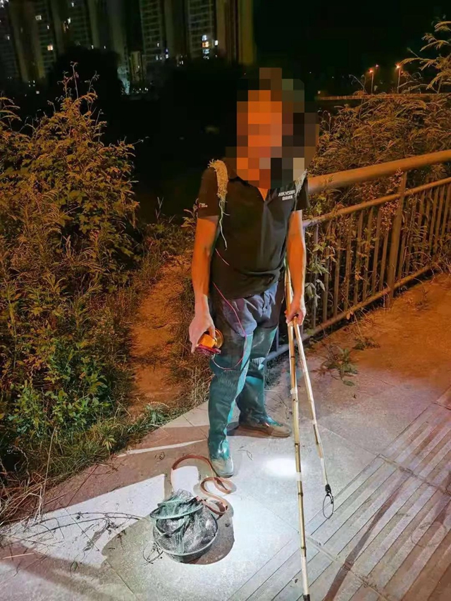 鲶鱼、鲫鱼、小龙虾，泸州男子深夜电鱼被抓，只因儿子想吃……(图2)