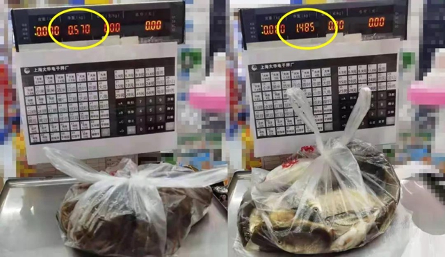 鲶鱼、鲫鱼、小龙虾，泸州男子深夜电鱼被抓，只因儿子想吃……(图3)