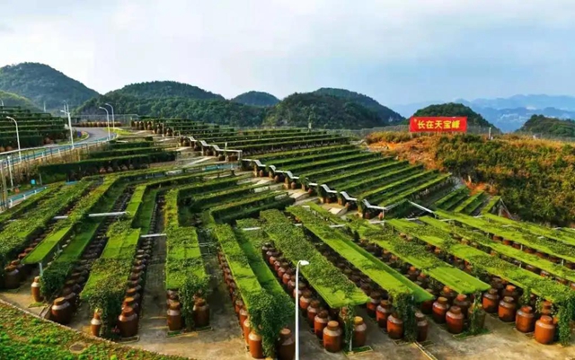 江阳法院走进郎酒集团 助力企业品牌保护(图15) 江阳法院走进郎酒集团 助力企业品牌保护(图15)