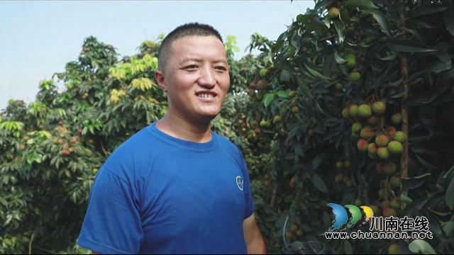 又是一年荔枝红！合江：荔枝成熟甜如蜜，小康路上幸福多(图6)
