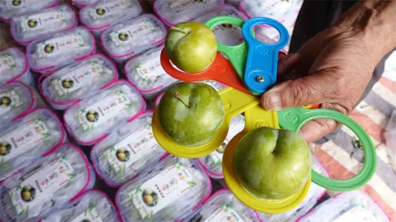 古蔺“蜂糖李”上市！味甜如蜜，果大肉厚(图8)
