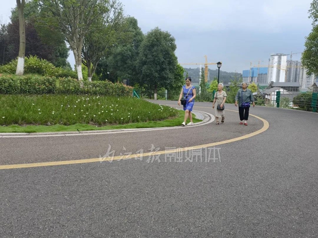 川南最大城市山地公园！爱了，这个属于内江人的“城市绿肺”(图6)