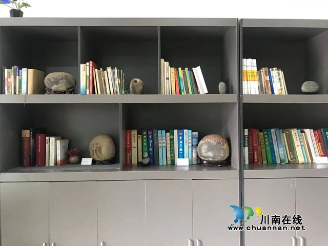 泸州市第十二届长江奇石文化节圆满结束(图8)