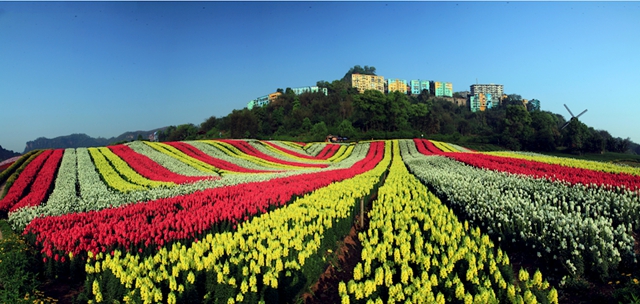 省级乡村旅游重点镇(乡)、村建议名单公示,泸州这些村入选!(图2) 省级乡村旅游重点镇(乡)、村建议名单公示,泸州这些村入选!(图2)