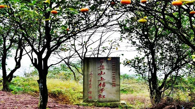 16个！叙永县党史学习教育推荐参观学习点公布(图7)