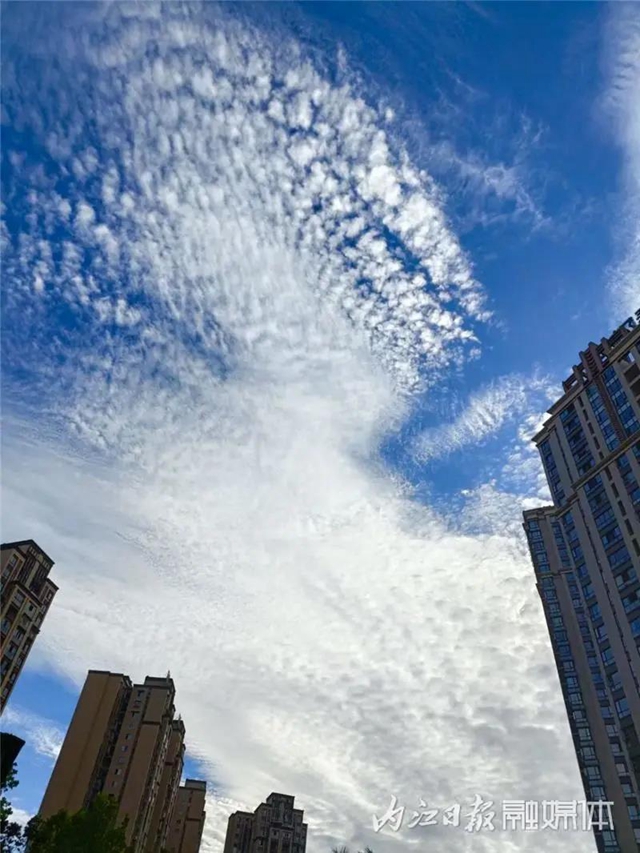 醉了！它刷爆了内江人的朋友圈(图5)