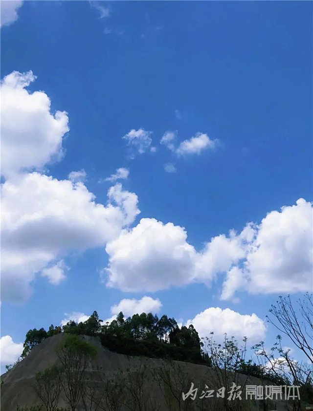 醉了！它刷爆了内江人的朋友圈(图12)