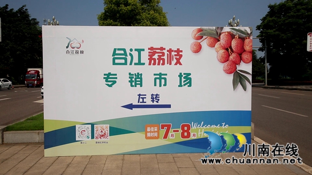 又是一年荔枝红！合江：又见荔枝红，市场销售忙(图2)