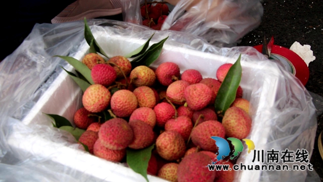 又是一年荔枝红！合江：又见荔枝红，市场销售忙(图5)