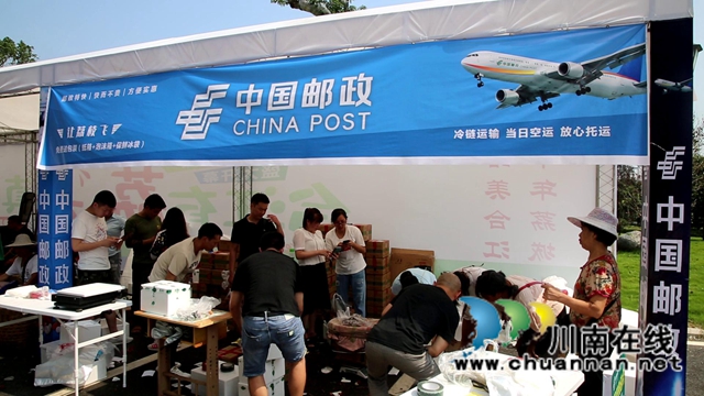 又是一年荔枝红！合江：又见荔枝红，市场销售忙(图6)