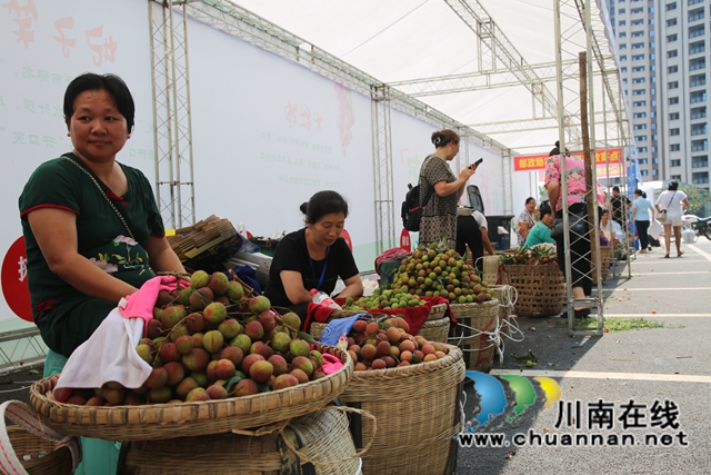 又是一年荔枝红！合江：又见荔枝红，市场销售忙(图10)