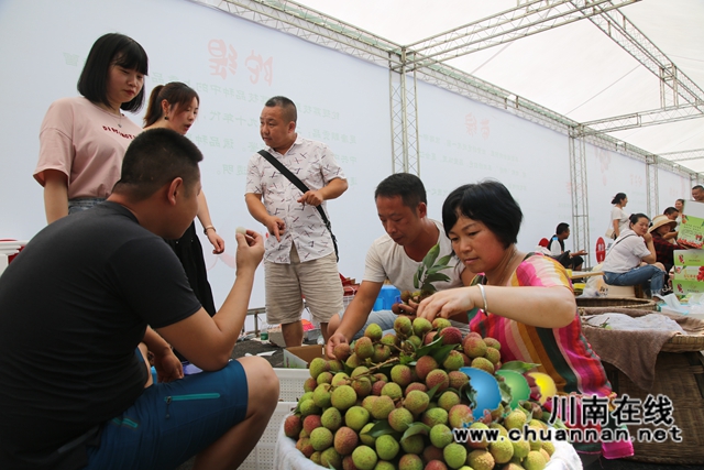 又是一年荔枝红！合江：又见荔枝红，市场销售忙(图9)
