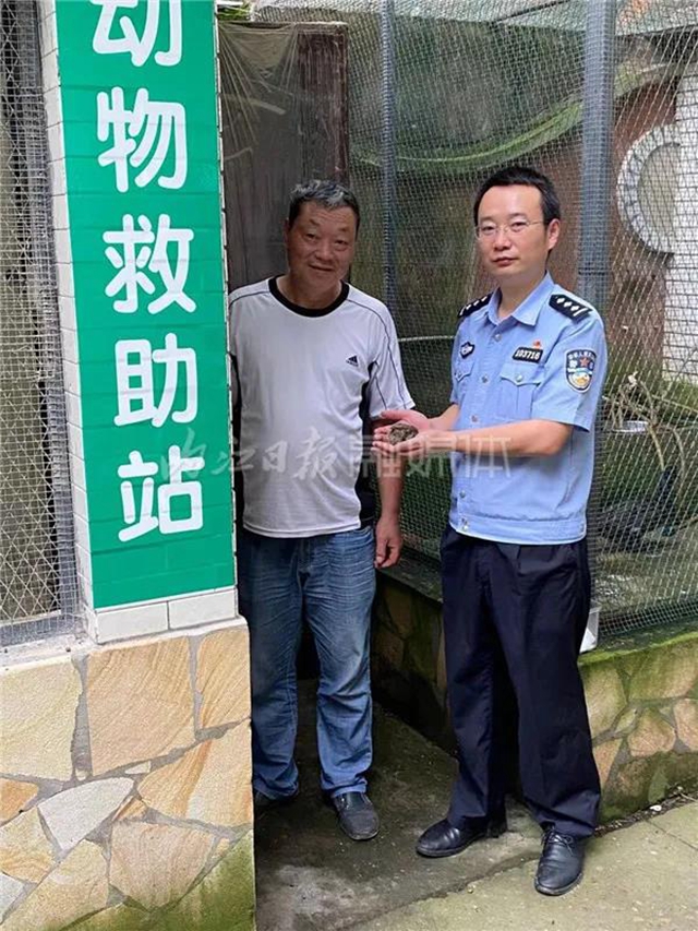 内江市民报警:发现一只怪鸟!(图2) 内江市民报警:发现一只怪鸟!(图2)