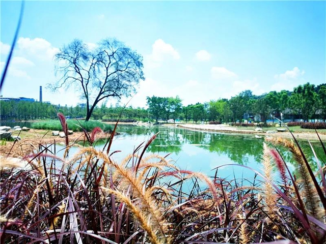 额滴神啊！内江“大自然”竟然变成这样了(图8)