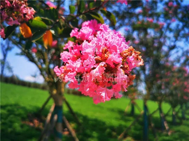 额滴神啊！内江“大自然”竟然变成这样了(图9)
