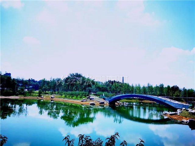 额滴神啊！内江“大自然”竟然变成这样了(图2)