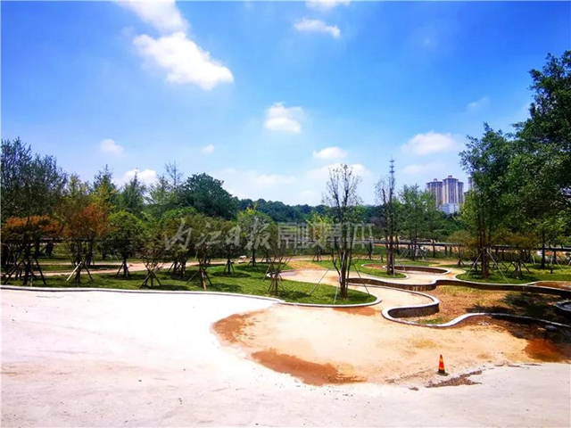 额滴神啊！内江“大自然”竟然变成这样了(图4)