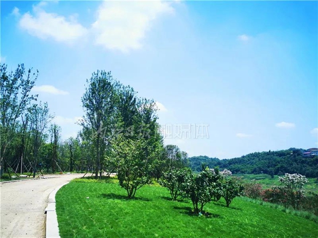 额滴神啊！内江“大自然”竟然变成这样了(图6)