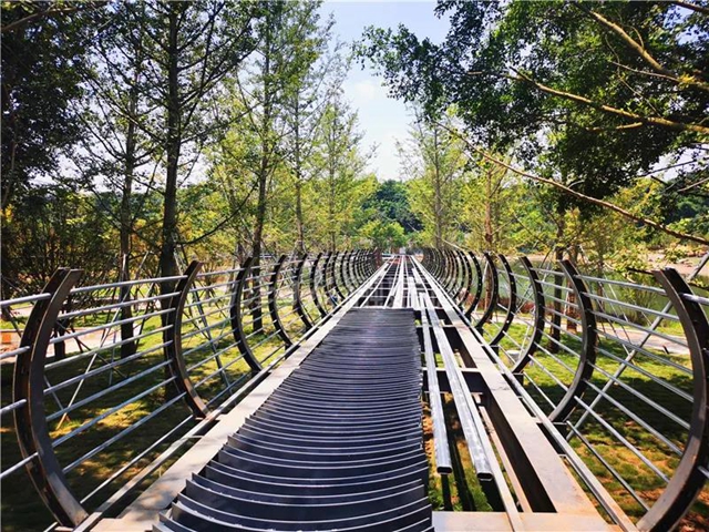 额滴神啊！内江“大自然”竟然变成这样了(图7)