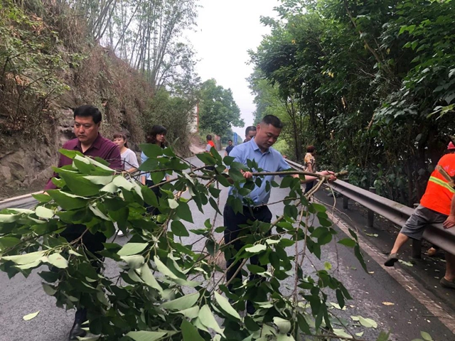 “喂——交通局吗？车子视野被路边树丫挡了，你们可以来处理不？”