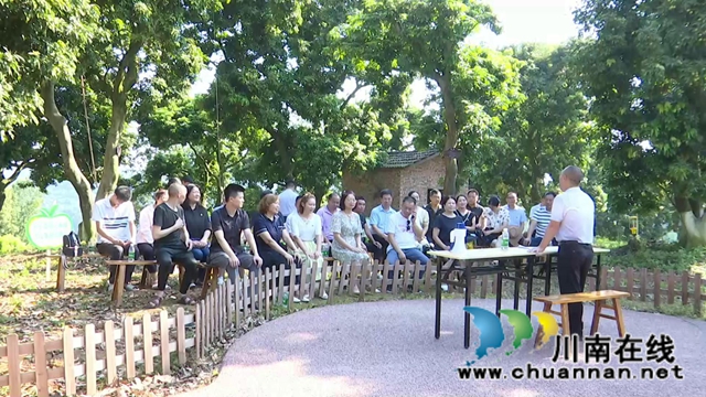 合江：百年荔枝林里忆百年党史