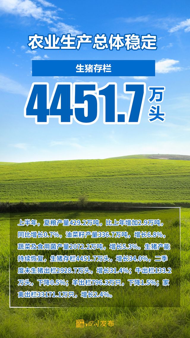 25232.39亿元！四川上半年经济成绩单出炉(图3)