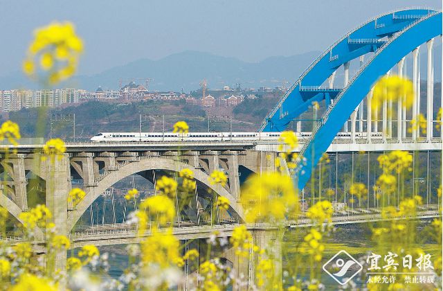 重磅!渝昆高铁宜宾至昆明段计划9月1日全线开工(图2) 重磅!渝昆高铁宜宾至昆明段计划9月1日全线开工(图2)