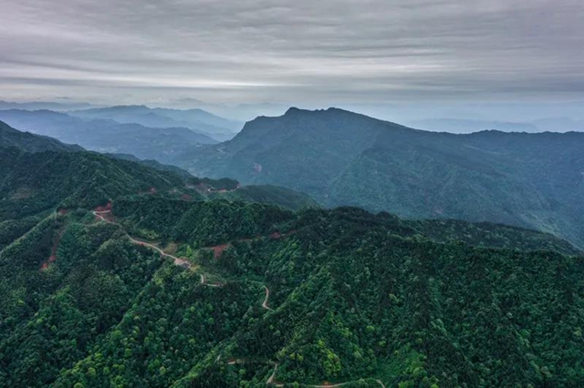 叙永：隐秘在一片绿意之中的四坪村，美到不动声色！(图1)