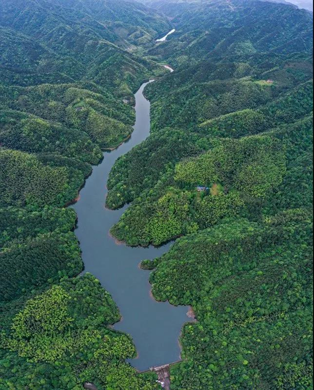 叙永：隐秘在一片绿意之中的四坪村，美到不动声色！(图4)