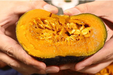 网红南瓜收益高，古蔺瓜农笑开颜！(图1)