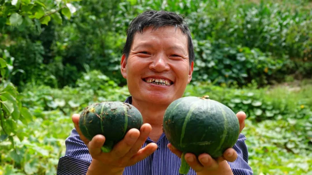 网红南瓜收益高，古蔺瓜农笑开颜！(图11)