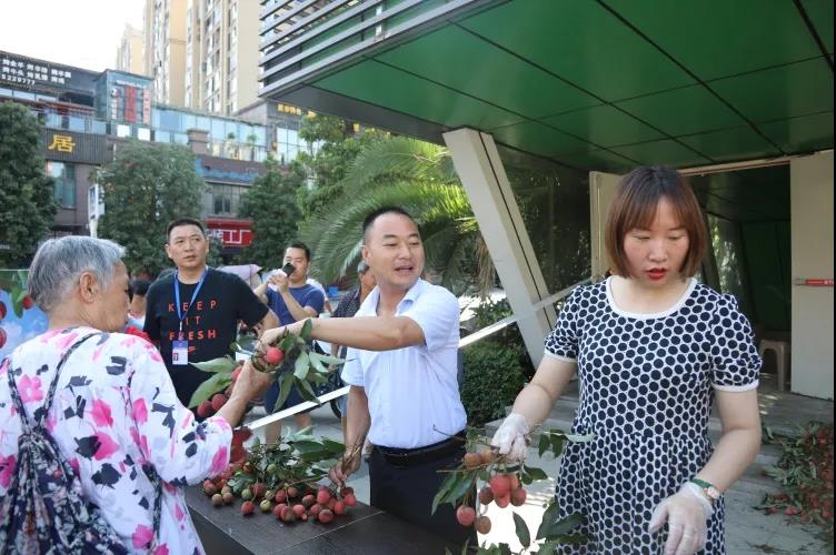 合江荔枝品鉴：摘下幸福果，共尝荔枝甜(图2)
