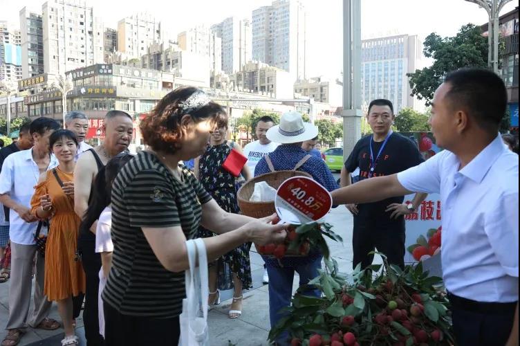 合江荔枝品鉴：摘下幸福果，共尝荔枝甜(图7)