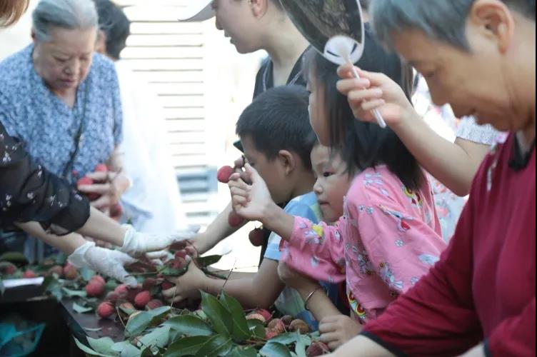 合江荔枝品鉴：摘下幸福果，共尝荔枝甜(图8)