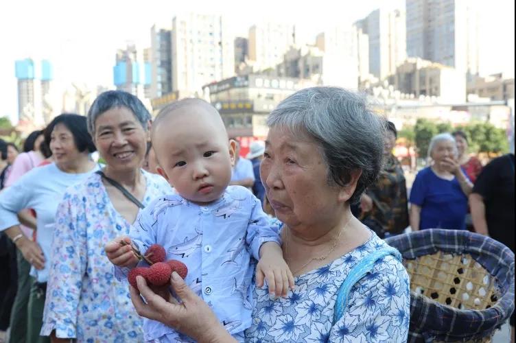 合江荔枝品鉴：摘下幸福果，共尝荔枝甜(图9)