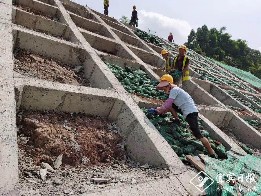 不用绕路了！宜庆路预计下月实现双向双幅通车 宜宾发布 昨天(图6)