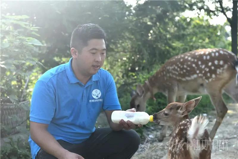稀奇！内江小伙养了一群有角“萌物”(图11)