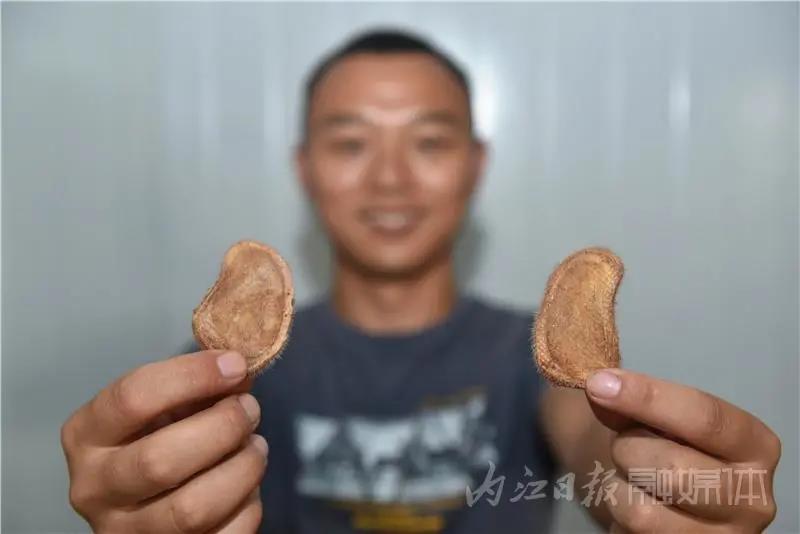 稀奇！内江小伙养了一群有角“萌物”(图14)