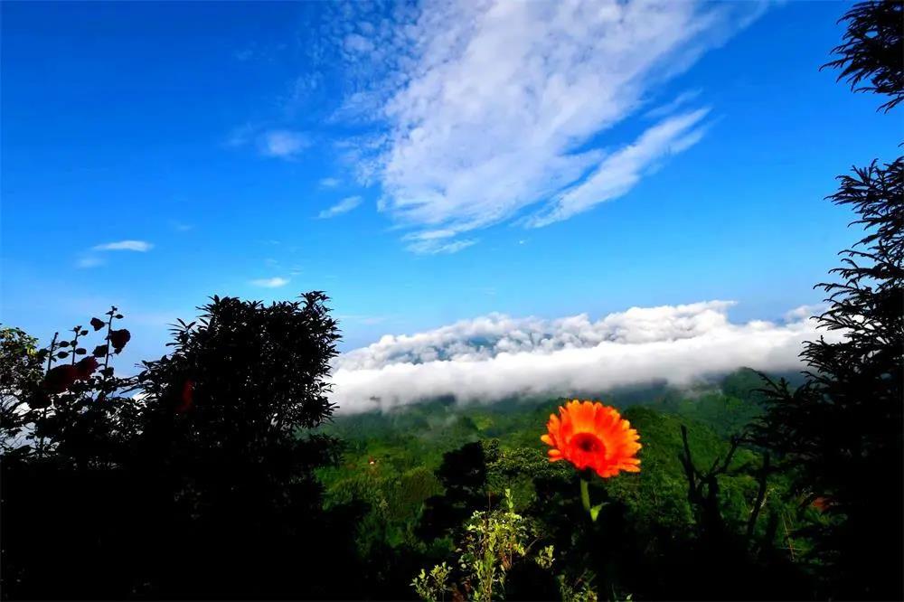 炎炎夏日，泸州这些景区免费、半价(图1)