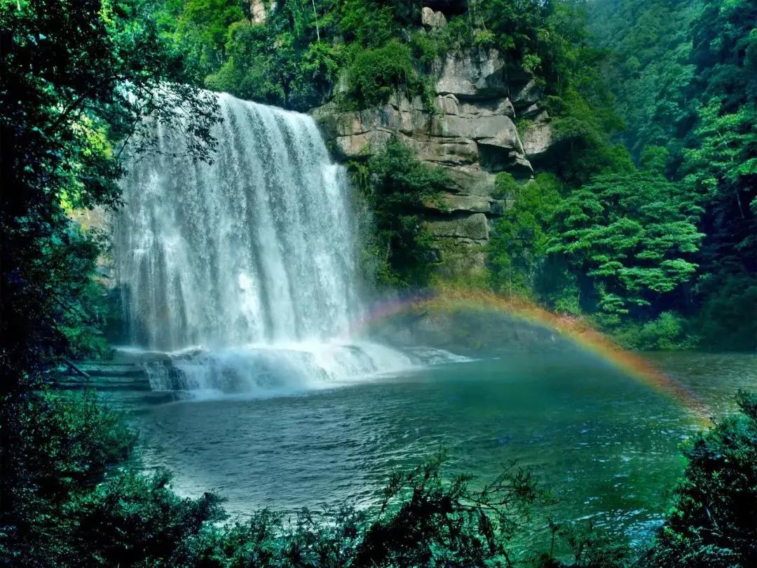 炎炎夏日，泸州这些景区免费、半价(图4)