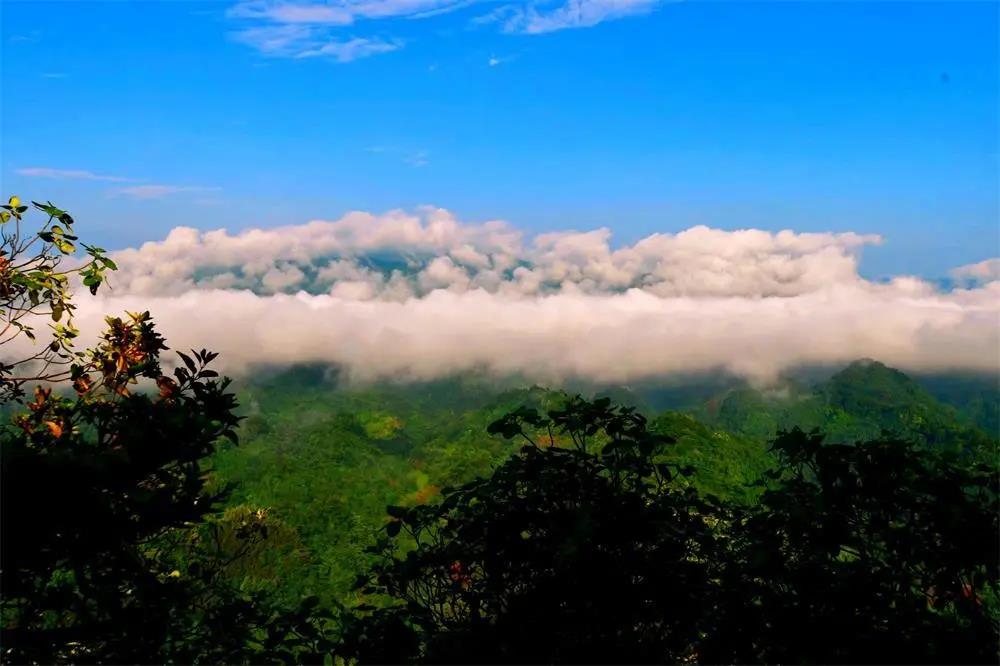 炎炎夏日，泸州这些景区免费、半价(图3)